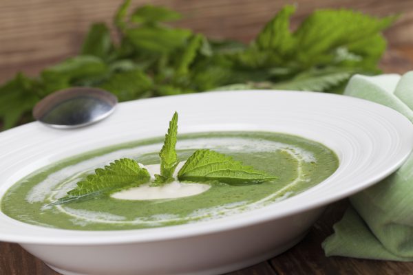 Potage aux orties | Recette Santé OfficeMed