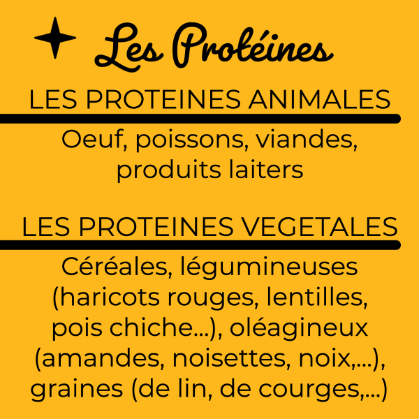 Les protéines animales et les protéines végétales